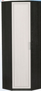 Шкаф для одежды угловой ДЛЯ ГОСТИНОЙ ШОУ-695 Венге/Дуб выбеленный в Верхоянске - verhoyansk.mebel54.com | фото